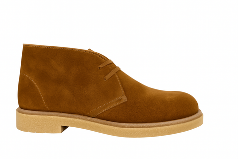 art St 10 Polacco 2 buchi