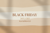 Banner Black Friday Campo Neutro